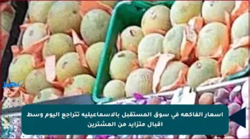 أسعار الفاكهة في سوق المستقبل بالإسماعيلية تتراجع اليوم وسط إقبال متزايد من المشترين